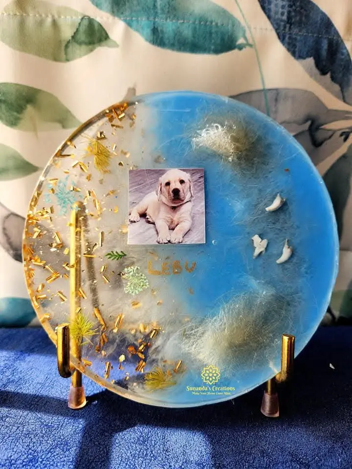 6" Fur Baby Tooth & Hair Preservation Plate 